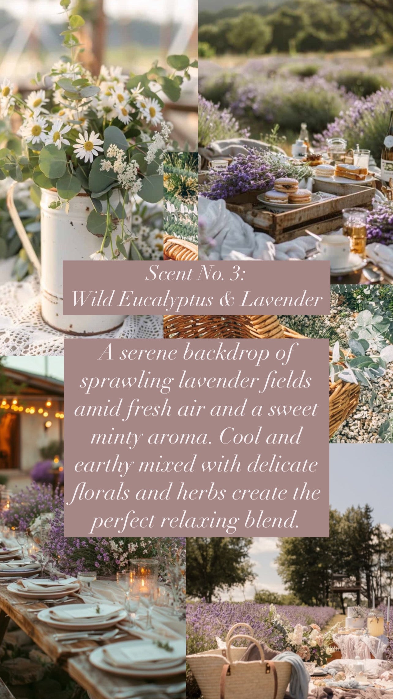 Scent No. 3: Wild Eucalyptus & Lavender