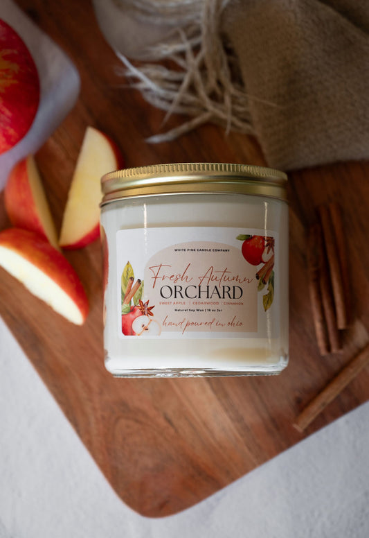 Fresh Autumn Orchard