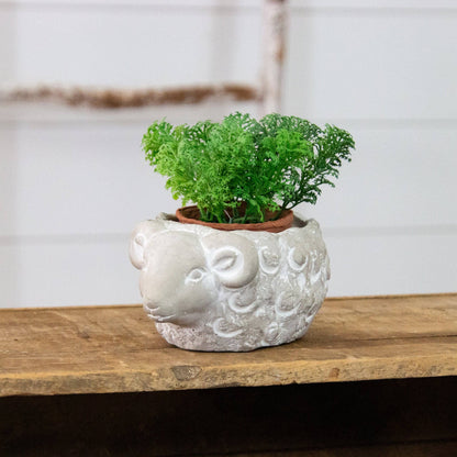 Cement Planter - Ram