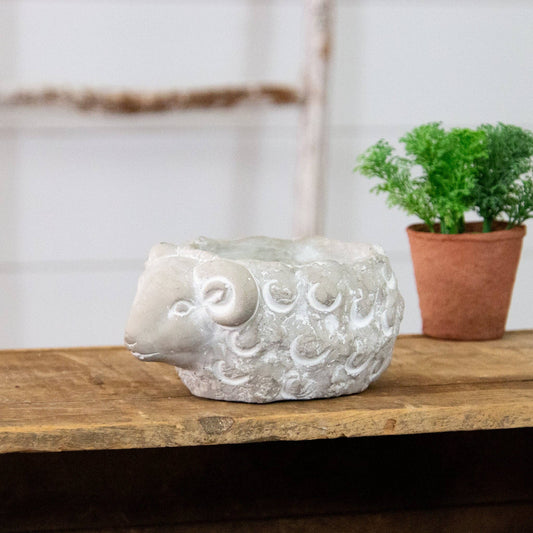 Cement Planter - Ram