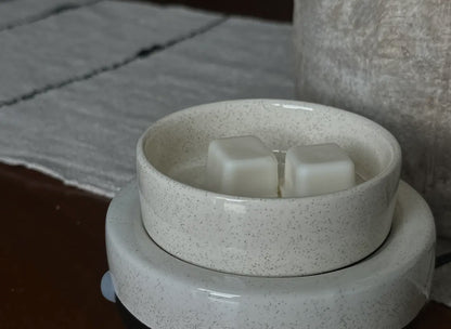 2-in-1 Wax Warmer