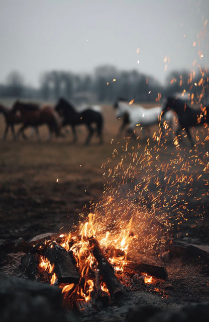 Scent No. 7: Country Campfire