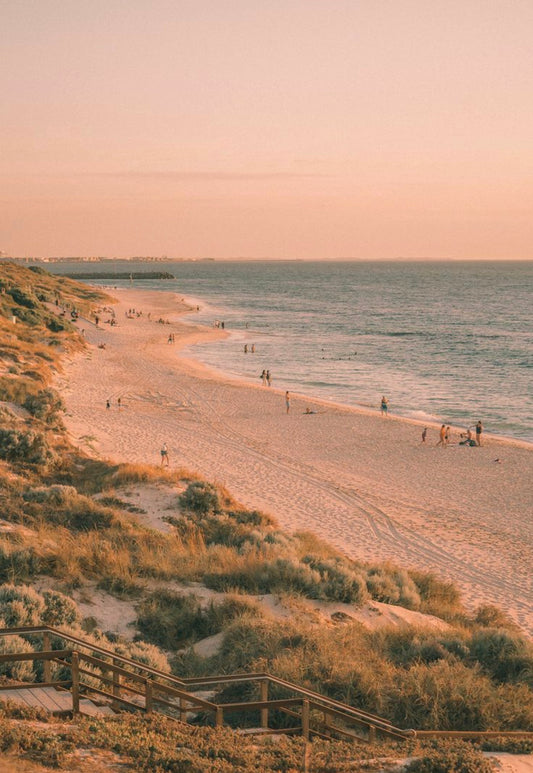 Summer Coastline