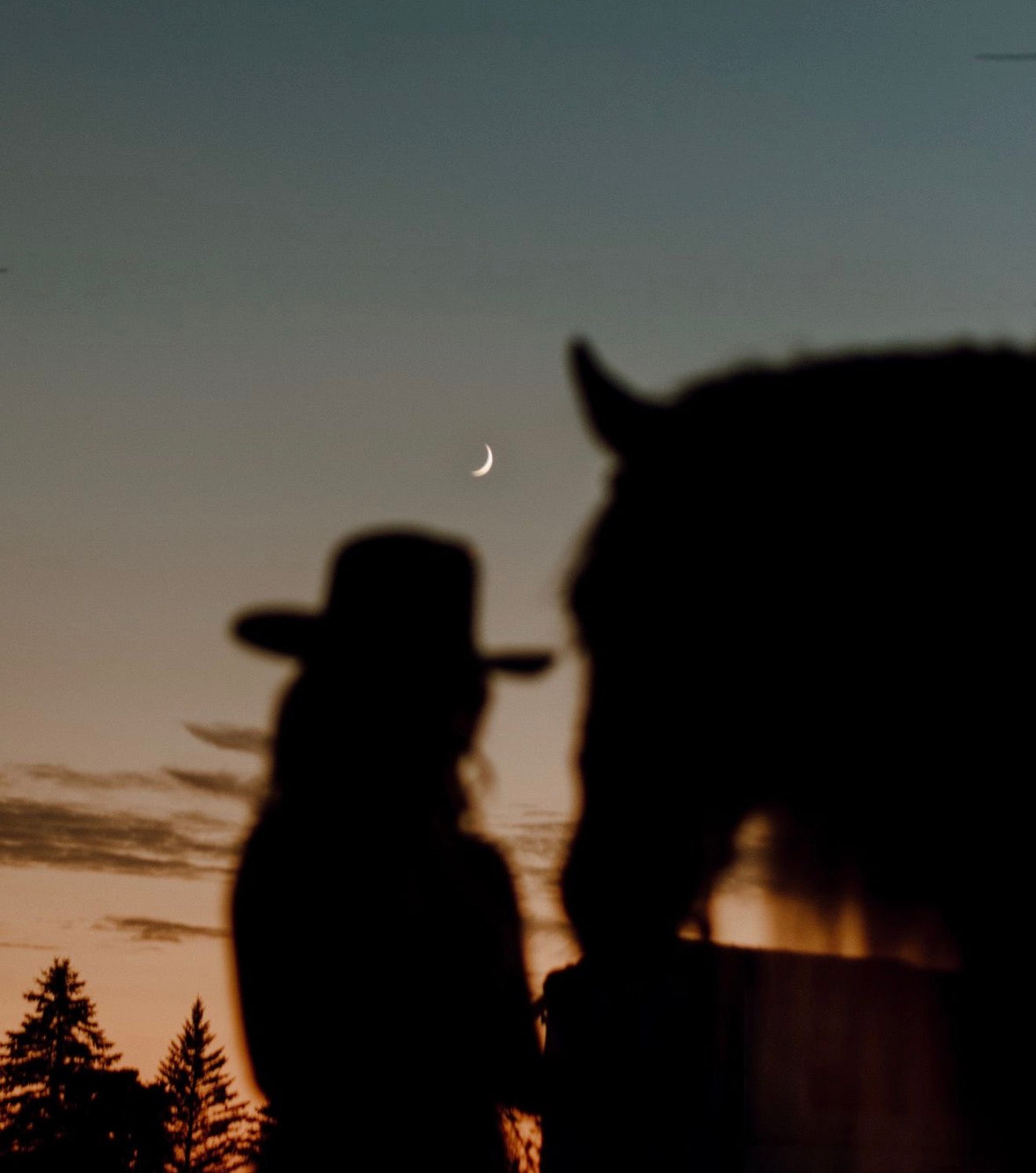 Cashmere Cowgirl