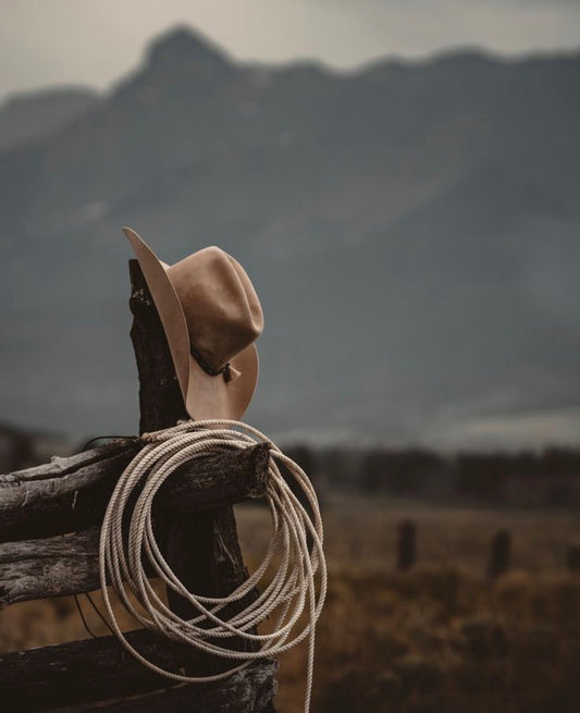 Cashmere Cowboy
