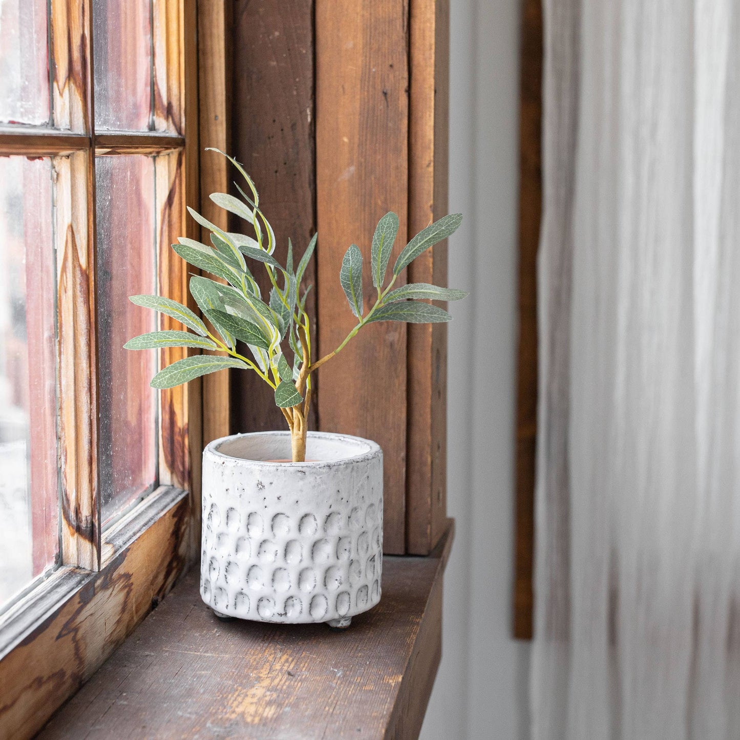 Jaylon Debossed White Garden Planter Pot Glazed Terracotta