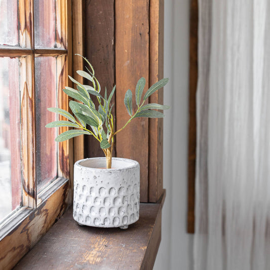Jaylon Debossed White Garden Planter Pot Glazed Terracotta